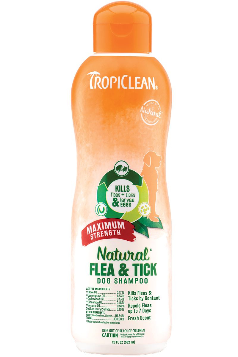 Natural flea and tick shampoo top