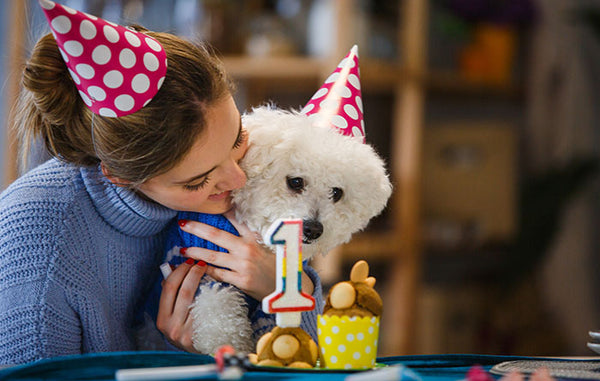 10 Fun Ways to Celebrate Your Dog’s Birthday