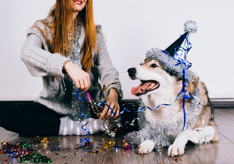 Celebrate the New Year with Your Dog