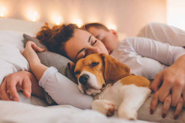Should you let your pets sleep in bed with you?