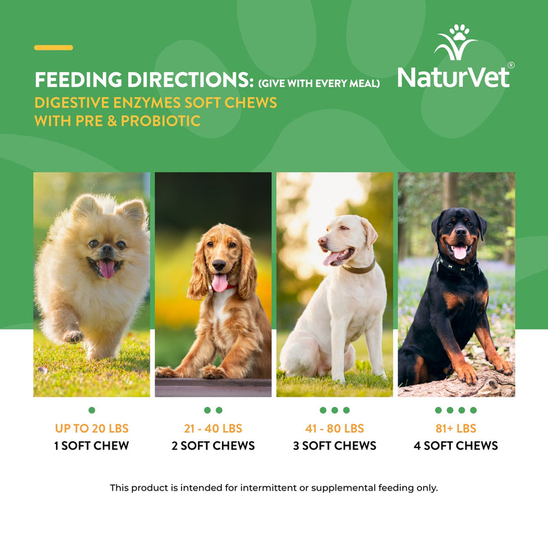 NaturVet Digestive Enzymes Dog Soft Chews