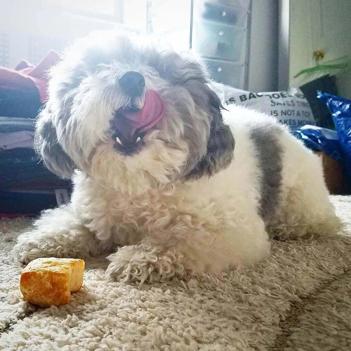 Yeti Dog Treat Crunchy Puffs 3.5 oz