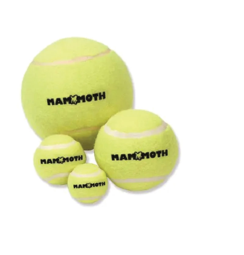Mini 2″ Tennis Balls with Bell Bulk