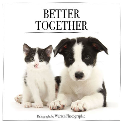 [Premium Quality Unique Dog Clothing & Accessories Online]-Doggo Lovers