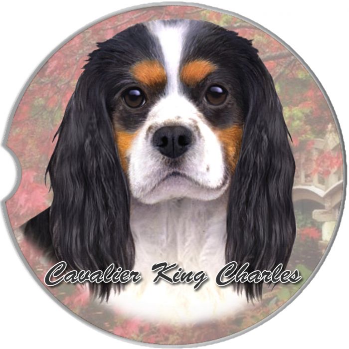 [Premium Quality Unique Dog Clothing & Accessories Online]-Doggo Lovers