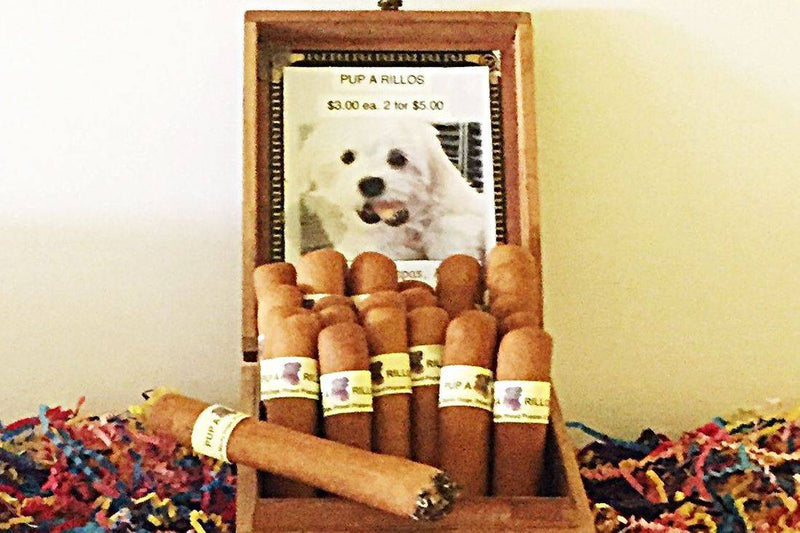 Cigars - Dog Cookie