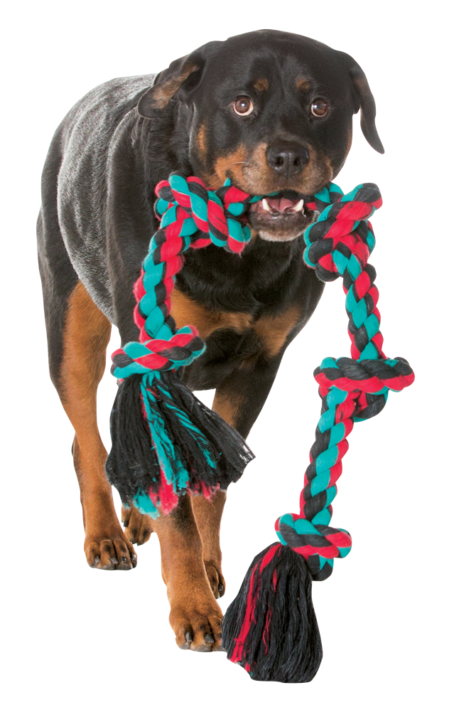 Mammoth Flossy Chews Color Rope