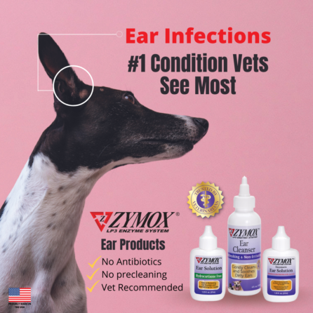 ZYMOX Enzymatic Ear Solution with 0.5% Hydrocortisone, Authentic Product Made in the USA