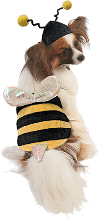 FASHION PET Halloween Costume Bumble Bee