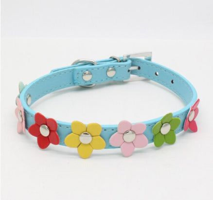 Flowers Dog Collar