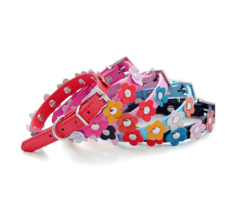 Flowers Dog Collar