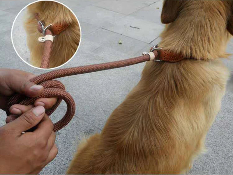 Dog Leash Slip Rope