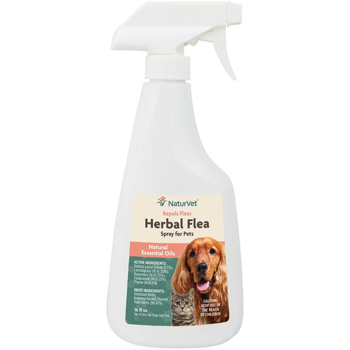 Herbal Flea Spray for Pets