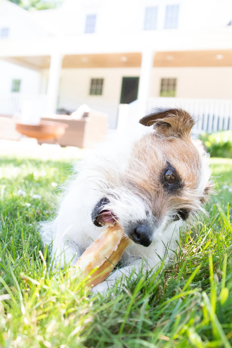 Earth Animal Dog Treat No Hide Venison Chews 4" 2 Pack