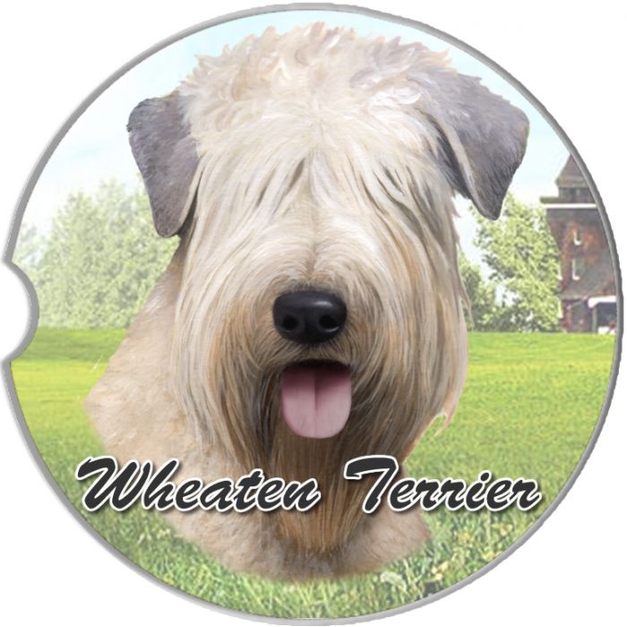 [Premium Quality Unique Dog Clothing & Accessories Online]-Doggo Lovers