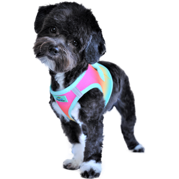 American River Choke Free Dog Harness Ombre Collection - Beach Party