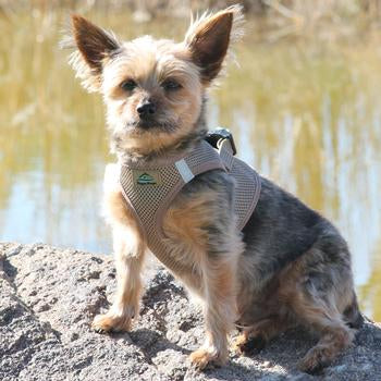 American River Solid Ultra Choke Free Dog Harness - Fossil Brown