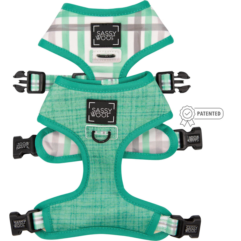 'Wag Your Teal' Reversible Dog Harness
