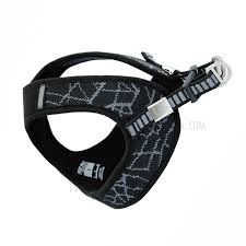 [Premium Quality Unique Dog Clothing & Accessories Online]-Doggo Lovers