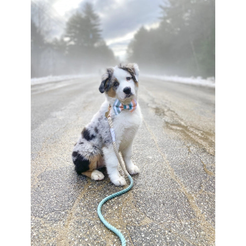 Dog Rope Leash - Dandy