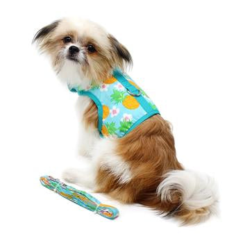 [Premium Quality Unique Dog Clothing & Accessories Online]-Doggo Lovers
