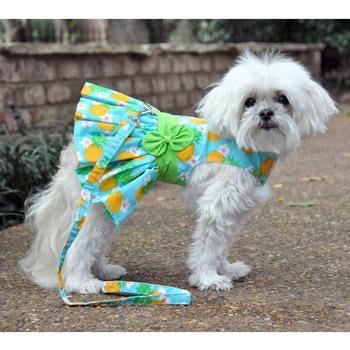 [Premium Quality Unique Dog Clothing & Accessories Online]-Doggo Lovers